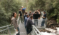 Group at Snobs Creek
